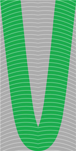 NBA and Team-QD 2041